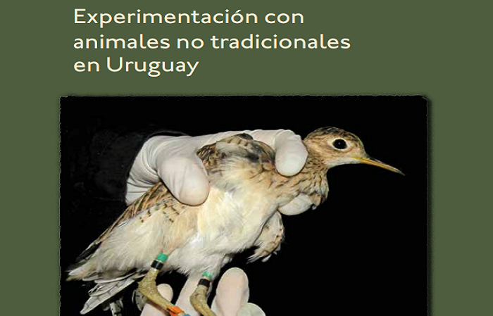 Libro: Experimentación con animales no tradicionales en Uruguay